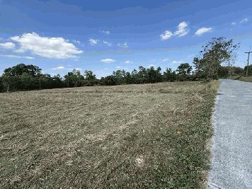 ขายที่ดินราคาถูก นครนายก 13 ไร่ 63 ตร.ว. ยกแปลกหรือแบ่งก็ได้ โทร 089-7411750